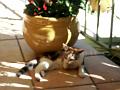 Caramel 08-04 043